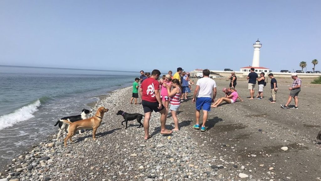 Playa Para Perros de El Dedo