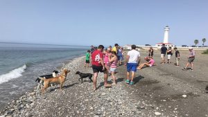 Playa Para Perros de El Dedo