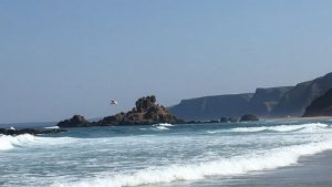 Praia João Vaz