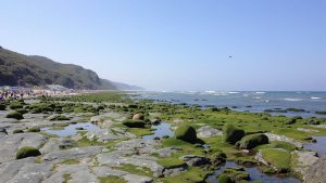 Praia do Canal