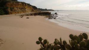 Praia do Cão Raivoso