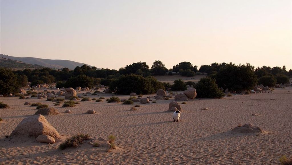 Lavrakas nudist beach - Chania, Creta