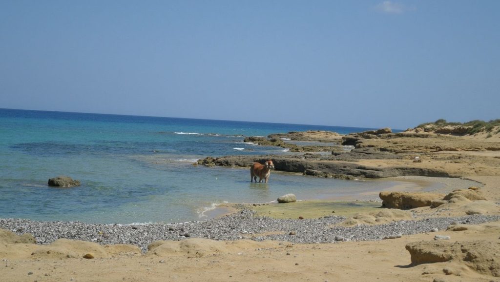 Ag. Giannis - Chania, Creta