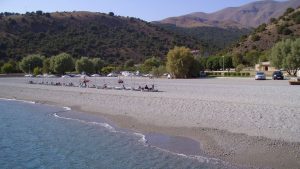 Polyrizos