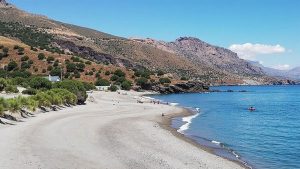 Korakas