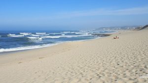 Praia de Francelos