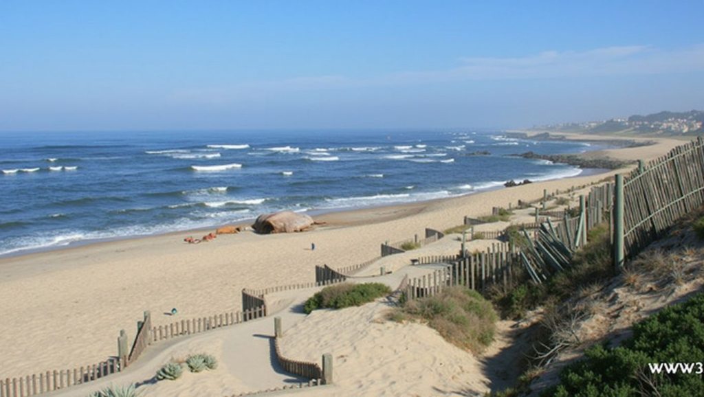 Praia de Valadares - Vila Nova de Gaia, Portugal