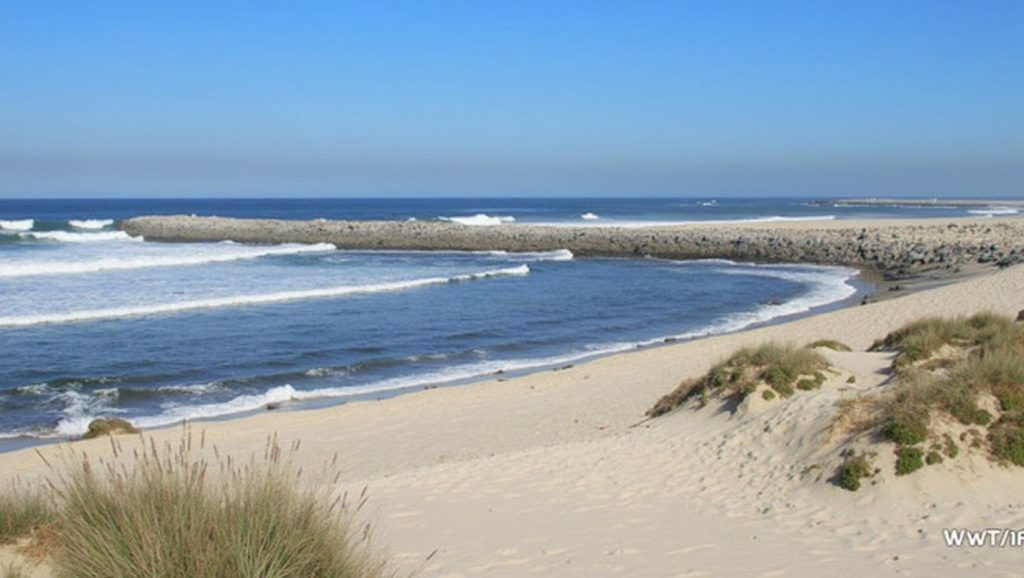 Praia de Silvalde - Espinho, Portugal