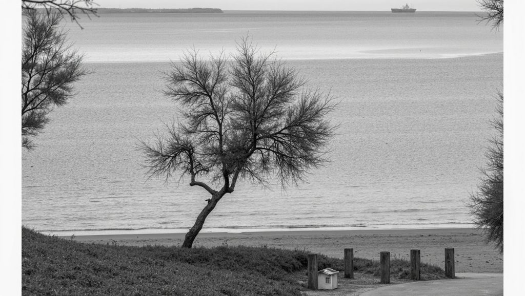 Playa de Arrigunaga - Getxo, Bizkaia