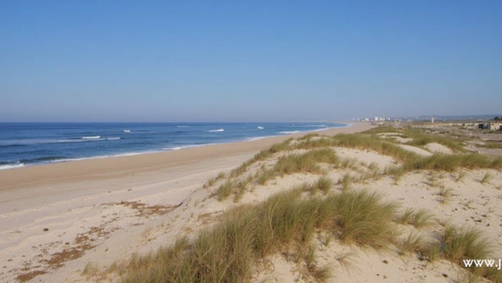 Praia da Vieira (Norte)
