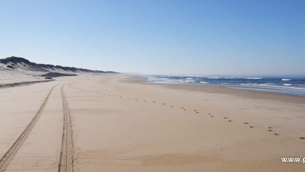 Praia do Osso da Baleia