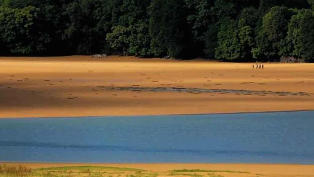 Playa de Kanala (sector Solabe) - Gautegiz Arteaga, Bizkaia