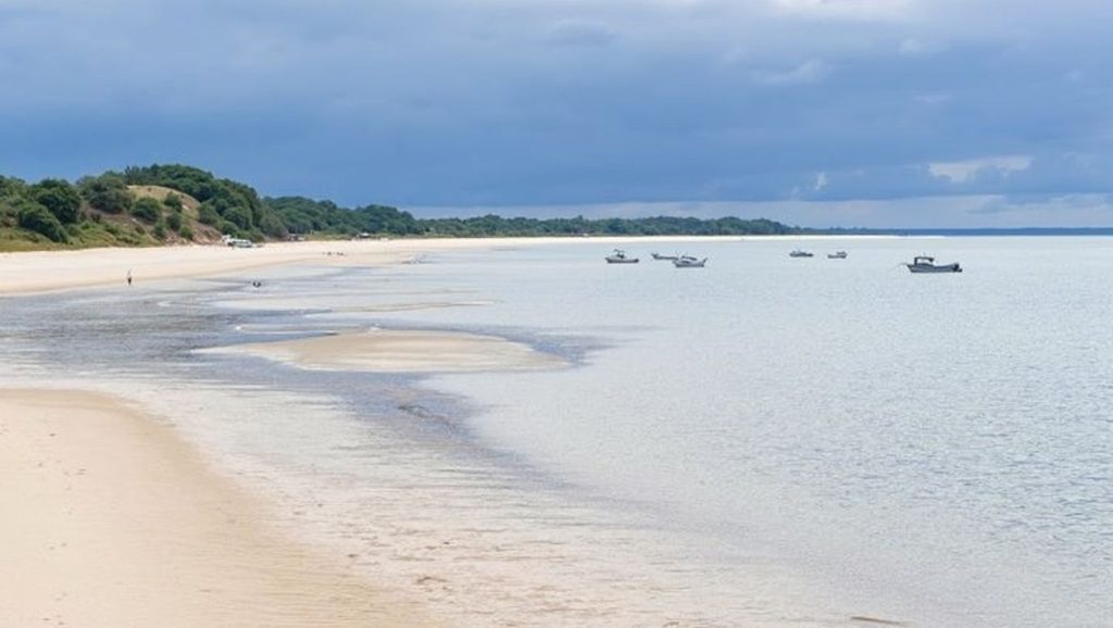Praia de Tróia-Galé - Grândola, Portugal