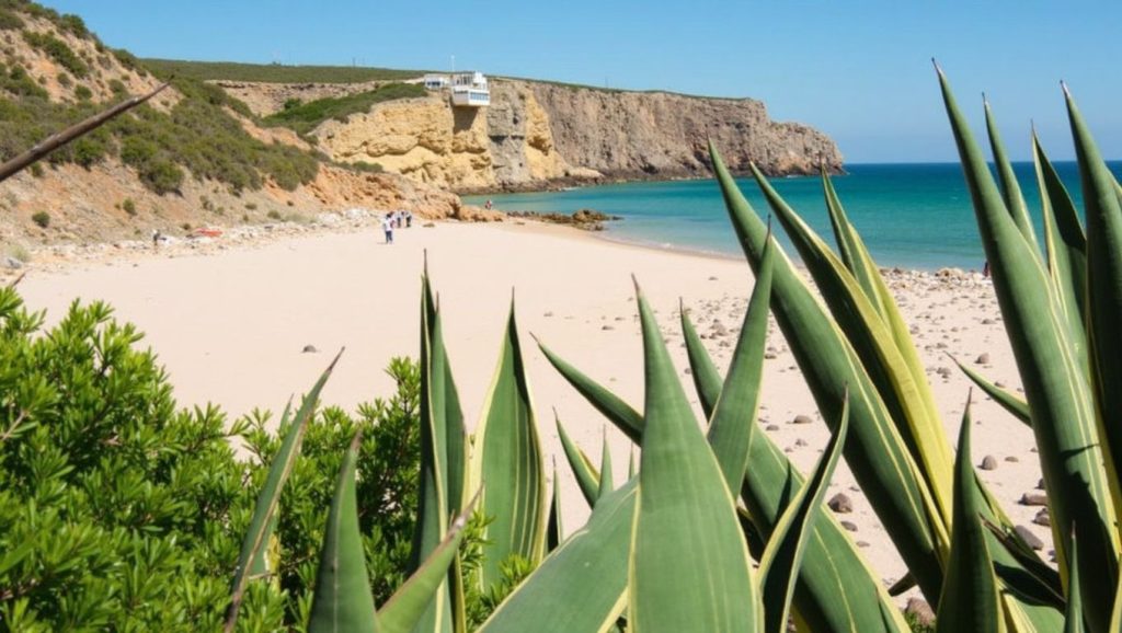 Praia do Zavial Naturista - Vila do Bispo, Algarve