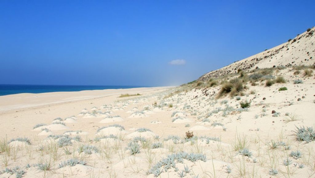 Praia das Areias Brancas - Santiago do Cacém, Portugal