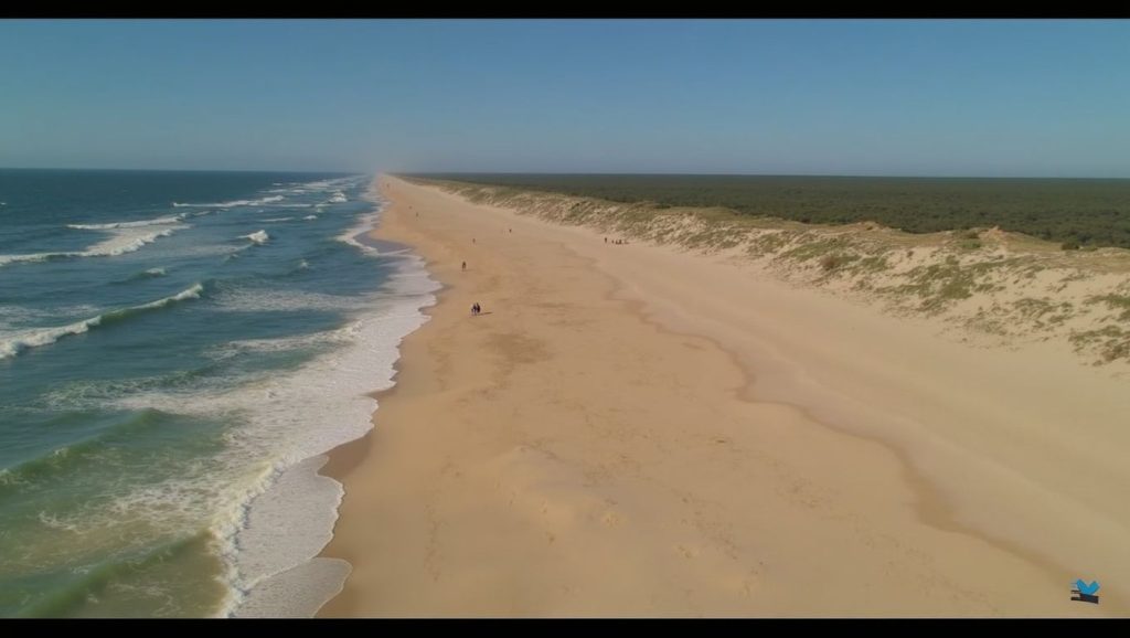 Praia do Palheirão - Cantanhede, Portugal