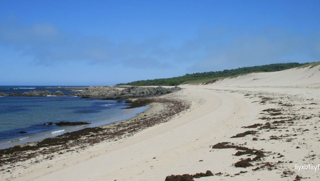 Praia da Ínsua - Viana do Castelo, Portugal