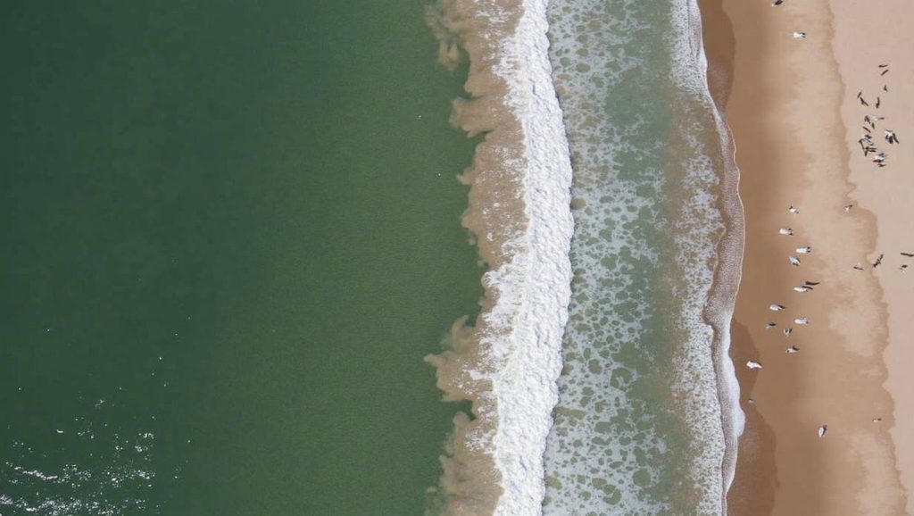 Praia Andorinha - Vila do Bispo, Algarve