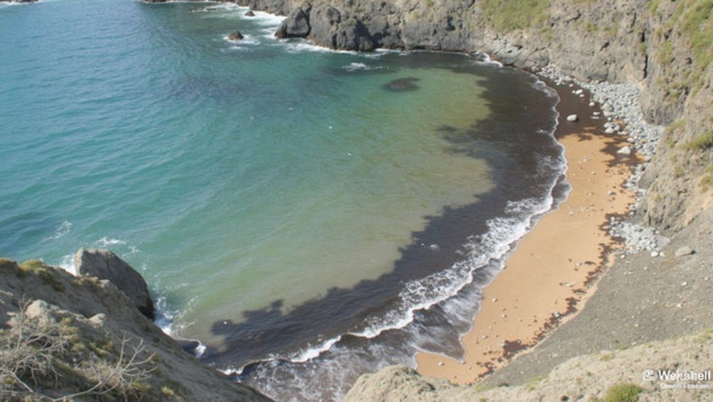 Praia da Carraca - Odemira, Portugal