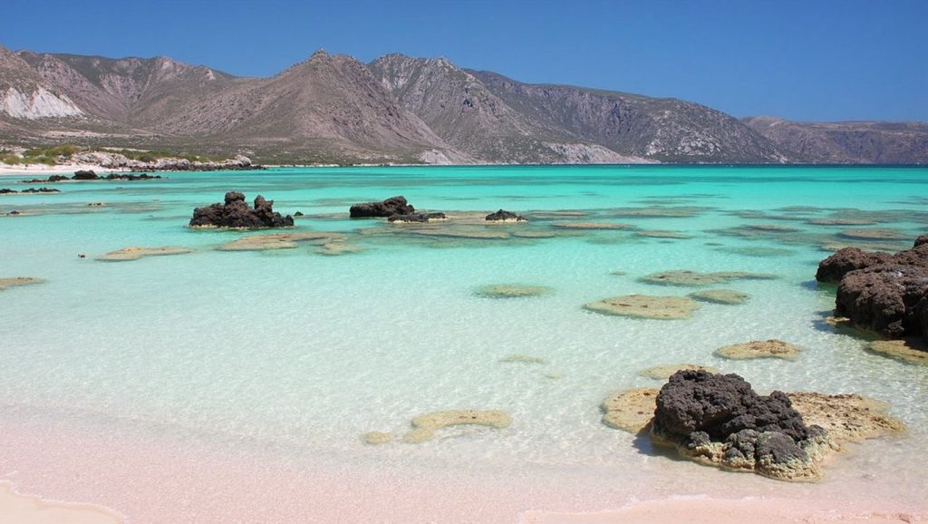 Pink - Chania, Creta
