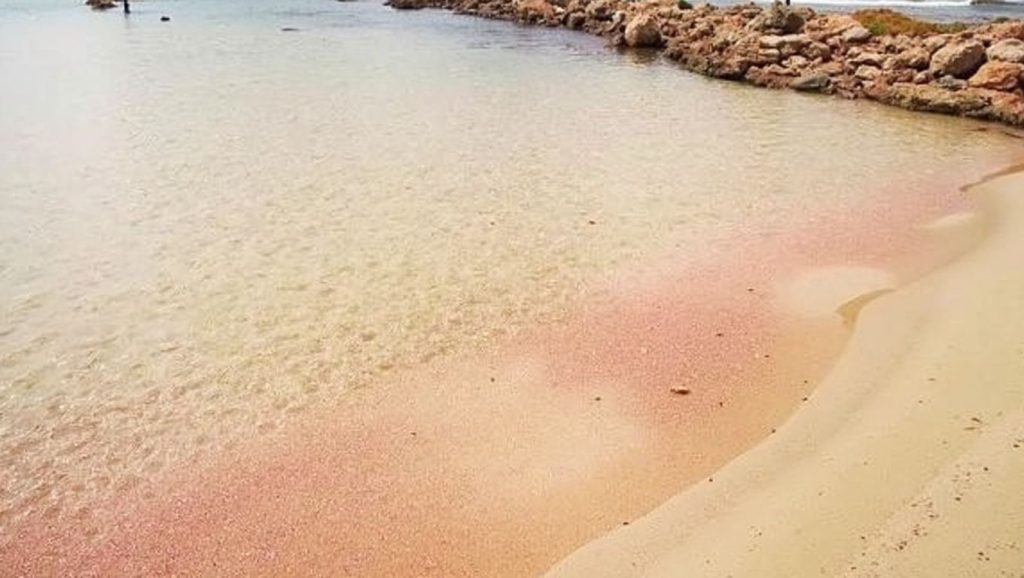 Tiny beach pink sand - Chania, Creta