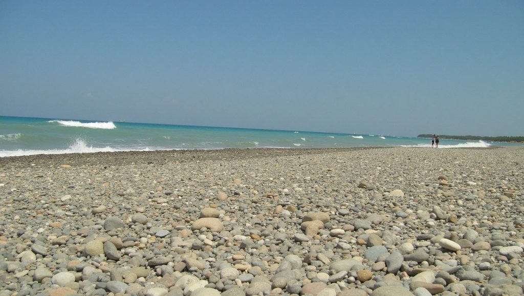 Rapaniana - Chania, Creta