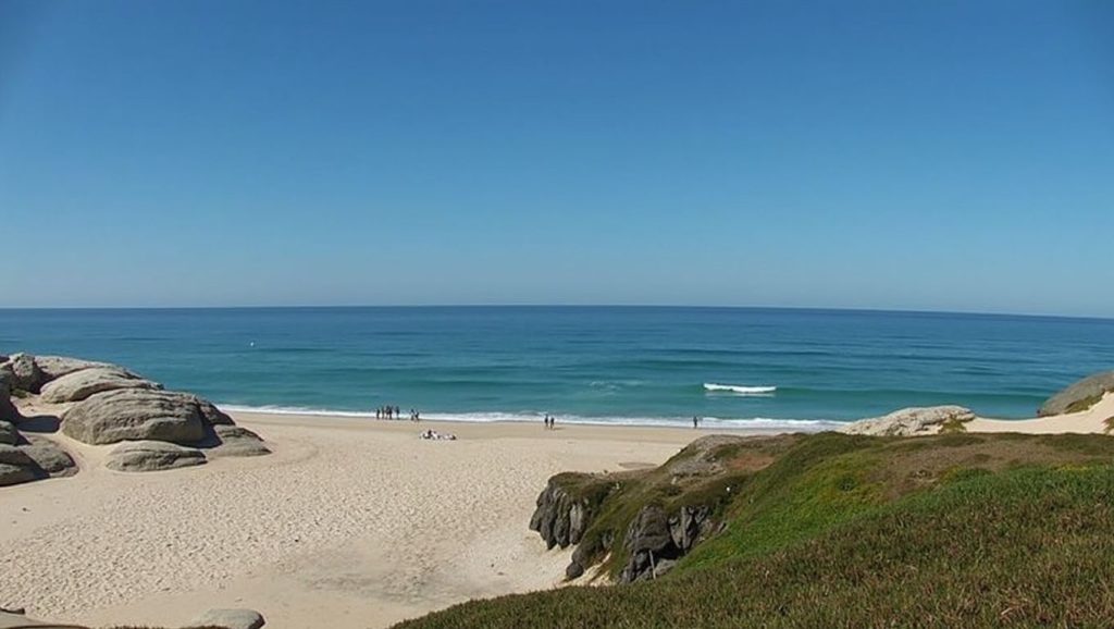 Praia do Rei Cortiço