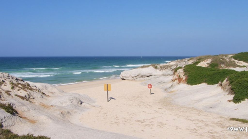 Praia do Pico da Mota