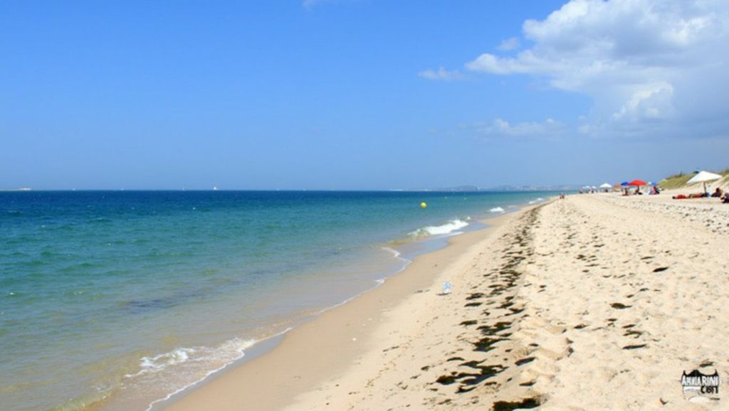 Praia da Armona - Olhão, Algarve