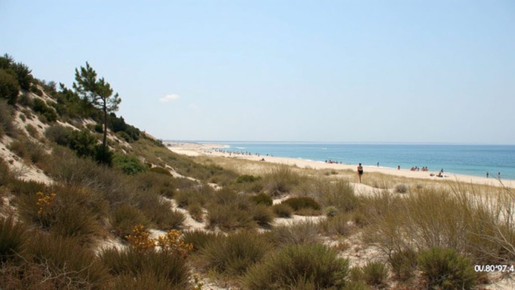 Praia Atlântica de Soltroia - Grândola, Portugal