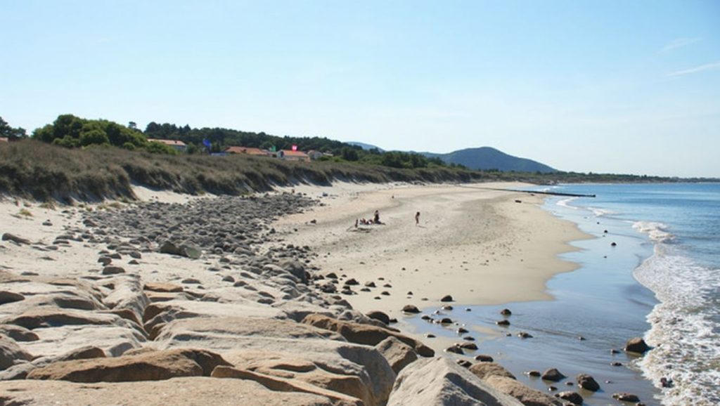 Praia de Castelo de Neiva - Pedra Alta) (Viana do Castelo, Portugal