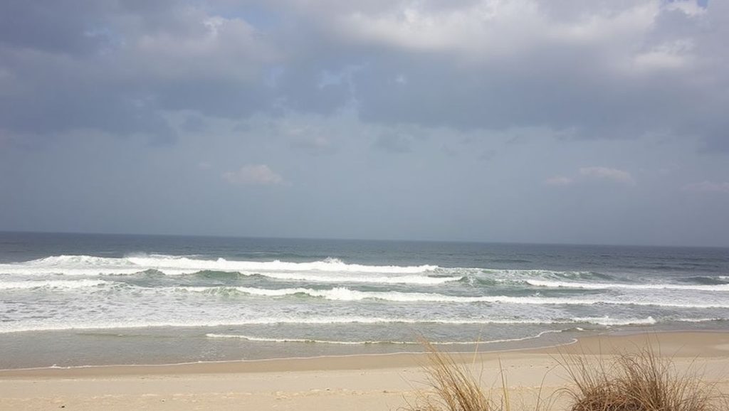 Praia do Vigão
