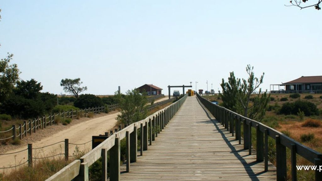 Praia do Pêgo - Grândola, Portugal
