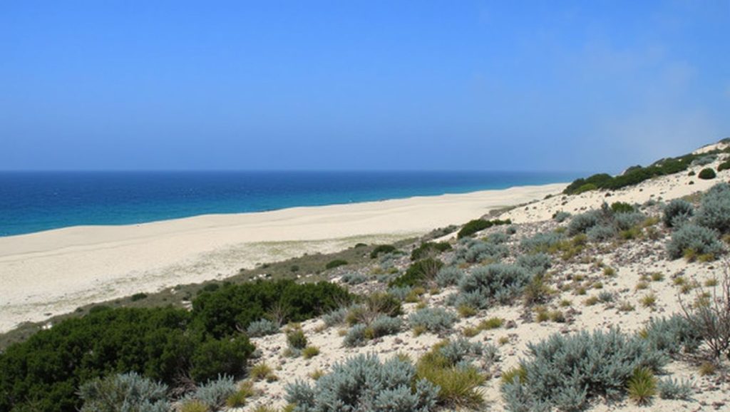 Praia do Saltinho - Sines, Portugal