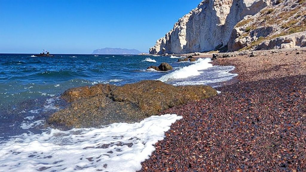 Koloumbo - Santorini, Grecia