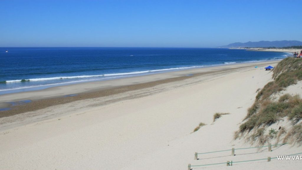 Praia de Antas - Foz do Neiva) (Esposende, Portugal