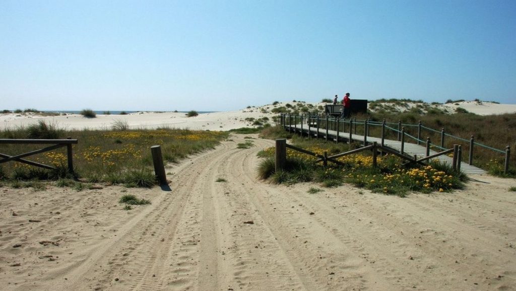 Praia da Ramalha - Esposende, Portugal