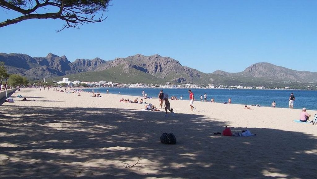 Primer plano de la orilla de La Platjola, Pollença