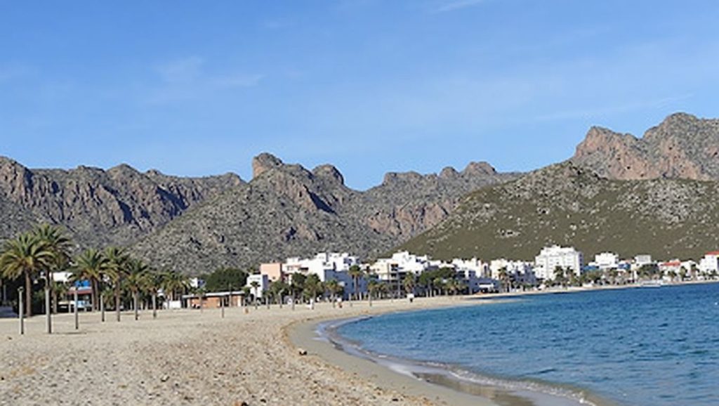 Panorámica completa de La Platjola, playa de Pollença