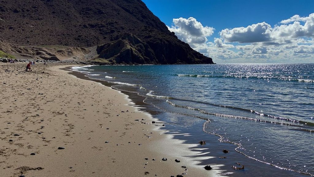 Panorámica de La Tejita, Tenerife