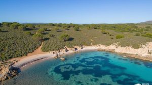 Macar de Cala Pudenta