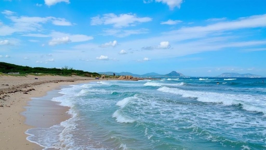 Arena y orilla en Na Patana, Santa Margalida, Mallorca