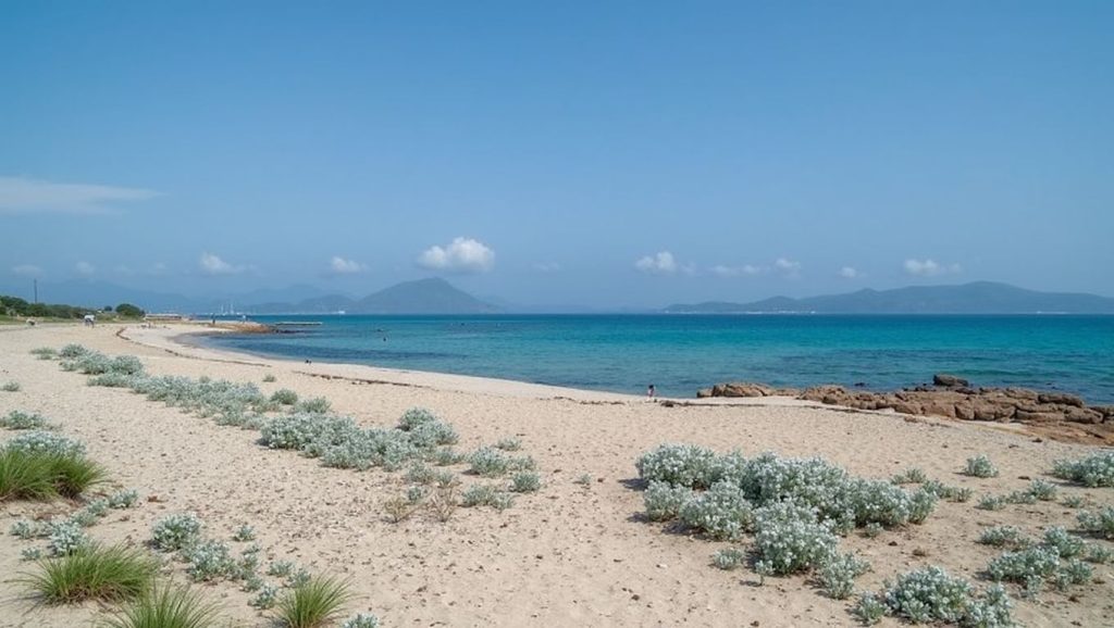 Playa Na Patana desde la arena, Santa Margalida, Mallorca