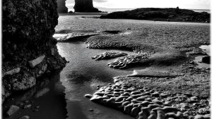 O Coidal de Seborollo