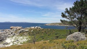 Os Moscallos (Bueu, Pontevedra)