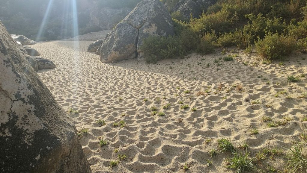 Os Moscallos — foto 4 de 6