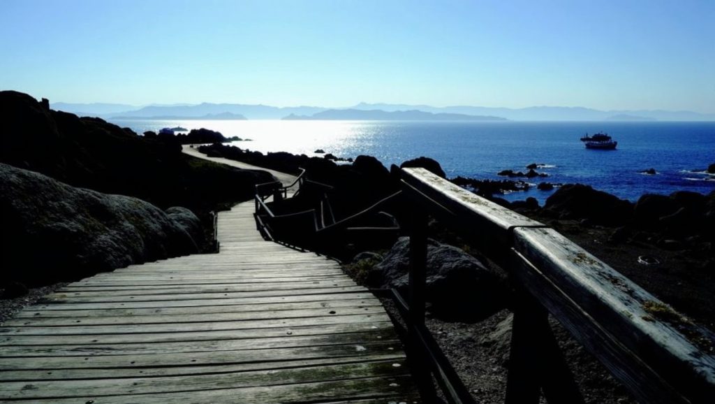 Entorno natural de Pé do Negro en Pontevedra