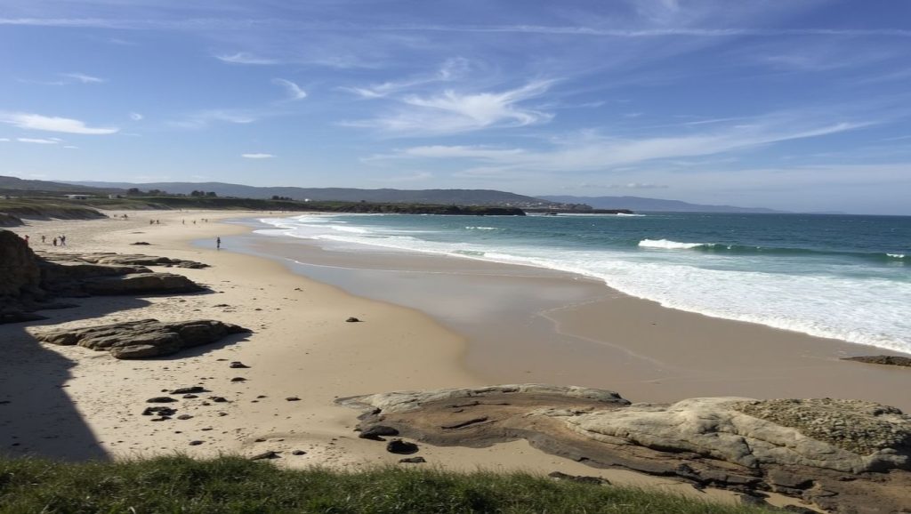 Foto de peizas