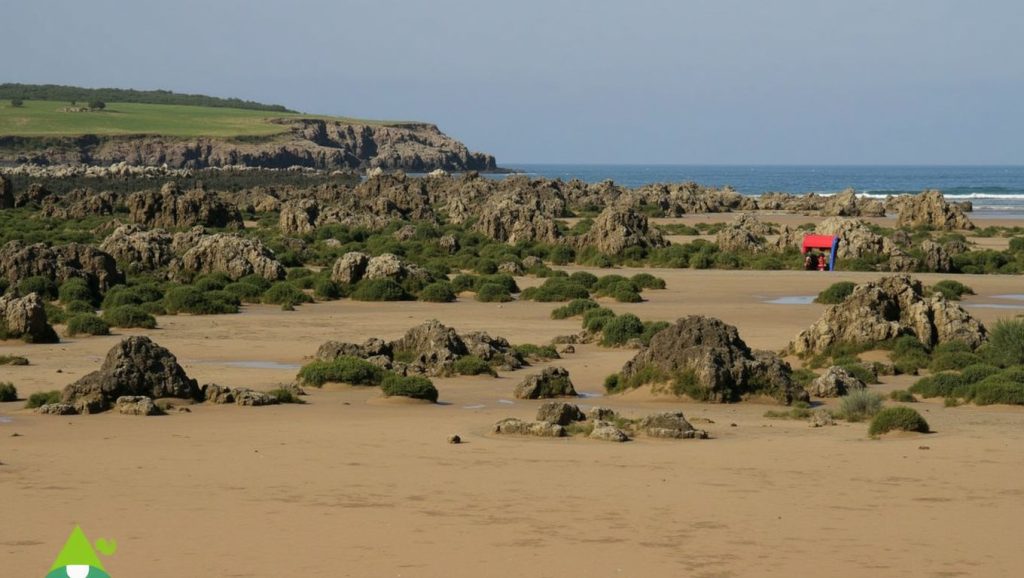 Arena de Placa los Boletos, Gozón (Asturias)