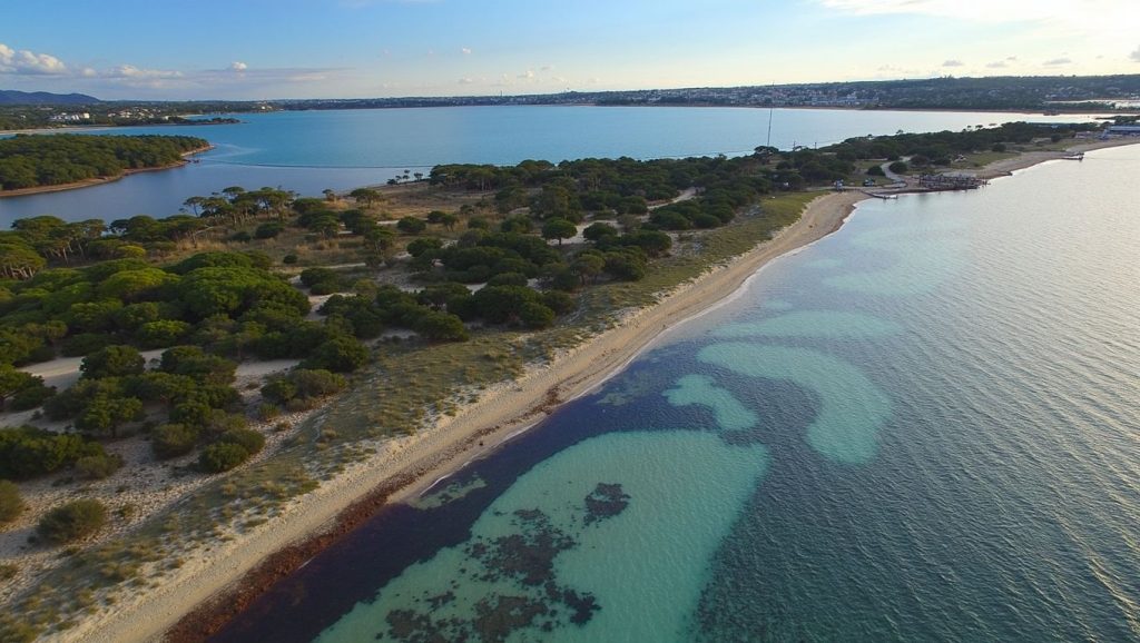Línea de costa en Platja Cavall d'en Borràs, Formentera